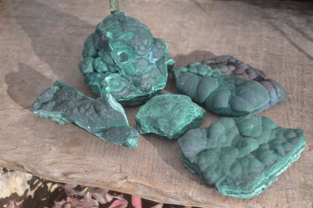Natural Crystalline Botryoidal Malachite Specimens  x 5 From Kambove, Congo - Toprock Gemstones and Minerals 
