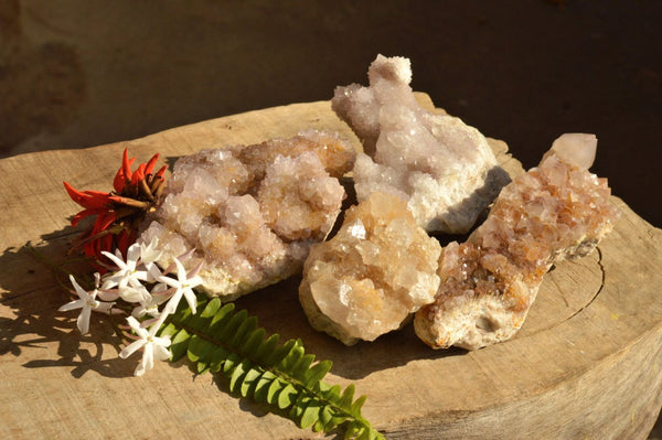 Natural Drusy Coated Spirit Cactus Quartz Clusters With White & Limonite Colouring  x 4 From Boekenhouthoek, South Africa - TopRock