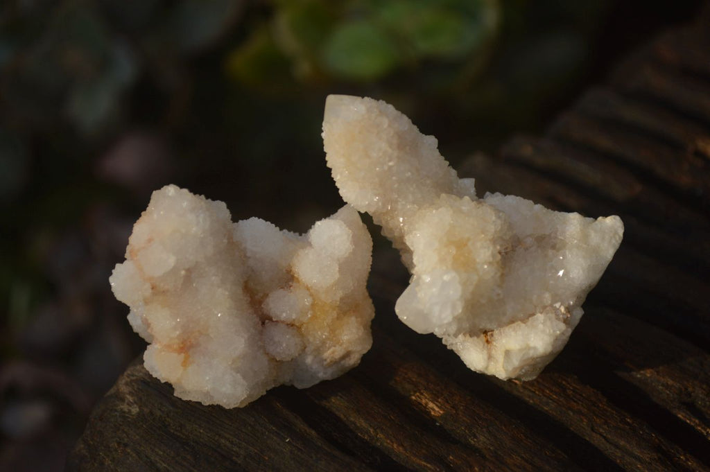 Natural Small White Spirit Fairy Quartz Clusters x 45 From Boekenhouthoek, South Africa - Toprock Gemstones and Minerals 