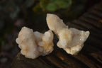 Natural Small White Spirit Fairy Quartz Clusters x 45 From Boekenhouthoek, South Africa - Toprock Gemstones and Minerals 