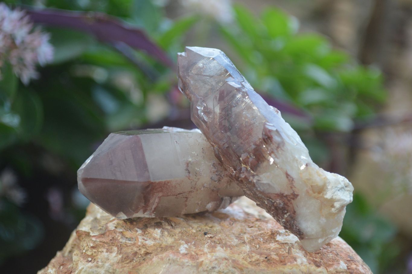 Natural Red Hematoid Quartz Specimens x 12 From Karoi, Zimbabwe - Toprock Gemstones and Minerals 