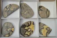 Polished Septerye (Calcite & Aragonite) Slices x 6 From Mahajanga, Madagascar - TopRock