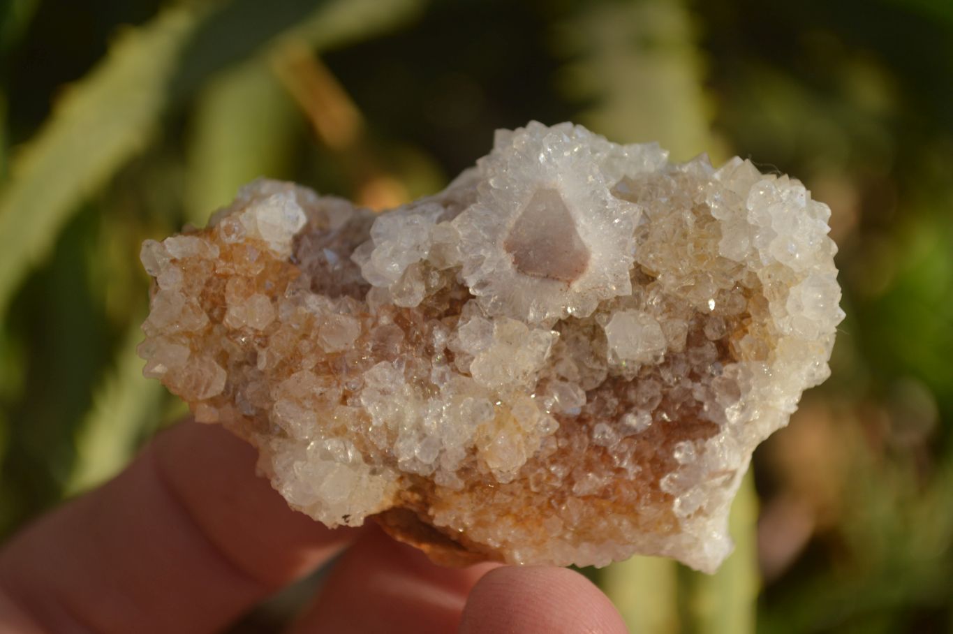 Natural Small White Spirit Fairy Quartz Clusters x 45 From Boekenhouthoek, South Africa - Toprock Gemstones and Minerals 