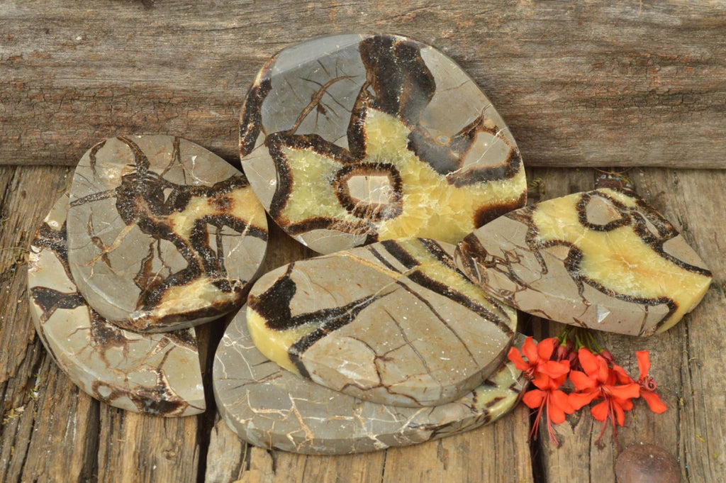 Polished Septerye (Calcite & Aragonite) Slices x 6 From Mahajanga, Madagascar - TopRock