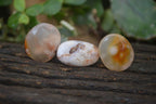 Polished Ocean Flower Agate Palm Stones  x 37 From Antsahalova, Madagascar - Toprock Gemstones and Minerals 