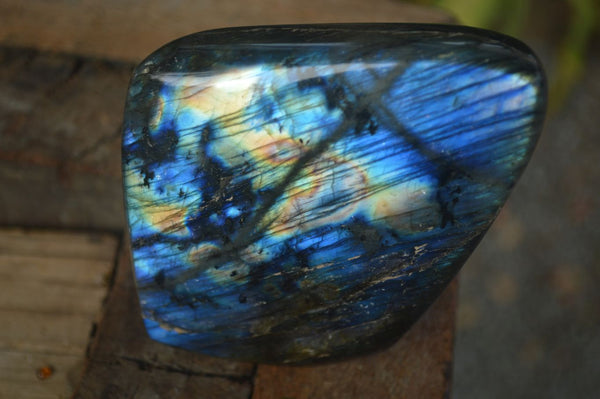 Polished Flashy Labradorite Standing Free Forms  x 2 From Tulear, Madagascar