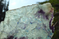 Polished Semi Translucent Watermelon Fluorite Slices x 3 From Uis, Namibia - TopRock
