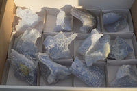 Natural Etched Blue Chalcedony Specimens  x 12 From Nsanje, Malawi - Toprock Gemstones and Minerals 