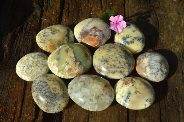 Polished Dendritic White to Pale Opal Gallets x 12 From Madagascar - TopRock