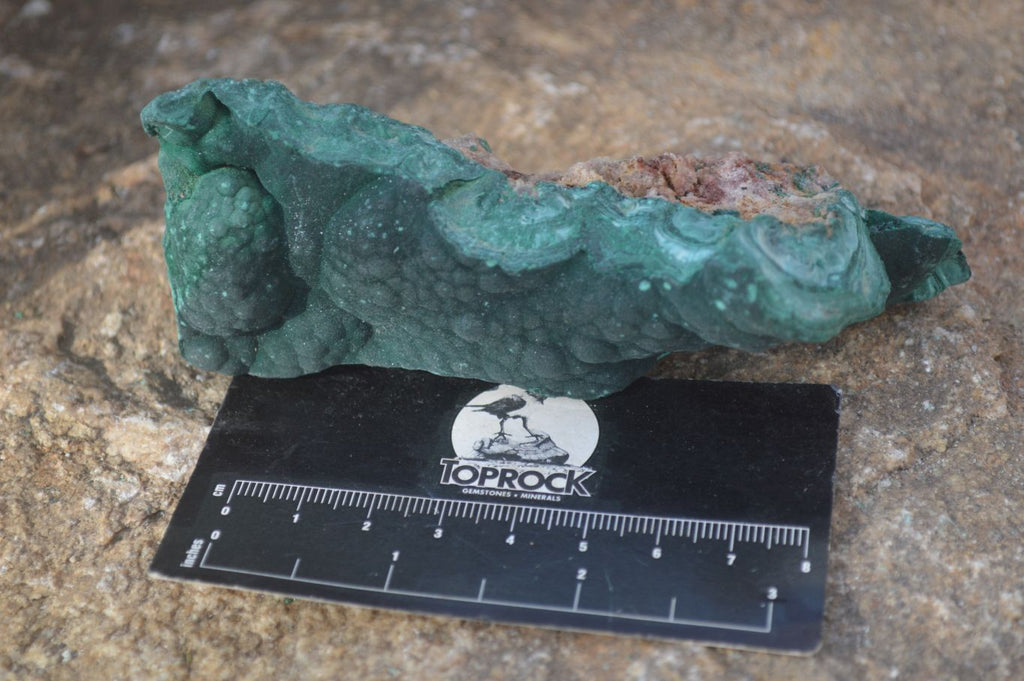 Natural Crystalline Botryoidal Malachite Specimens  x 5 From Kambove, Congo - Toprock Gemstones and Minerals 