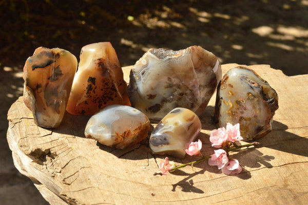 Polished Half Polished Dendritic Agate Standing Free Forms  x 6 From Moralambo, Madagascar - TopRock