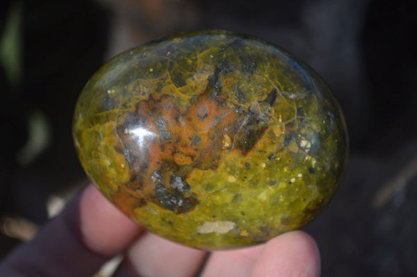 Polished Green Opal Galet / Palm Stones x 12 From Antsirabe, Madagascar - Toprock Gemstones and Minerals 