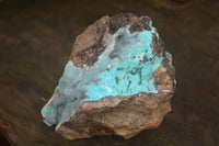 Natural Drusy Coated Chrysocolla & Malachite Specimens x 3 From Likasi, Congo - Toprock Gemstones and Minerals 