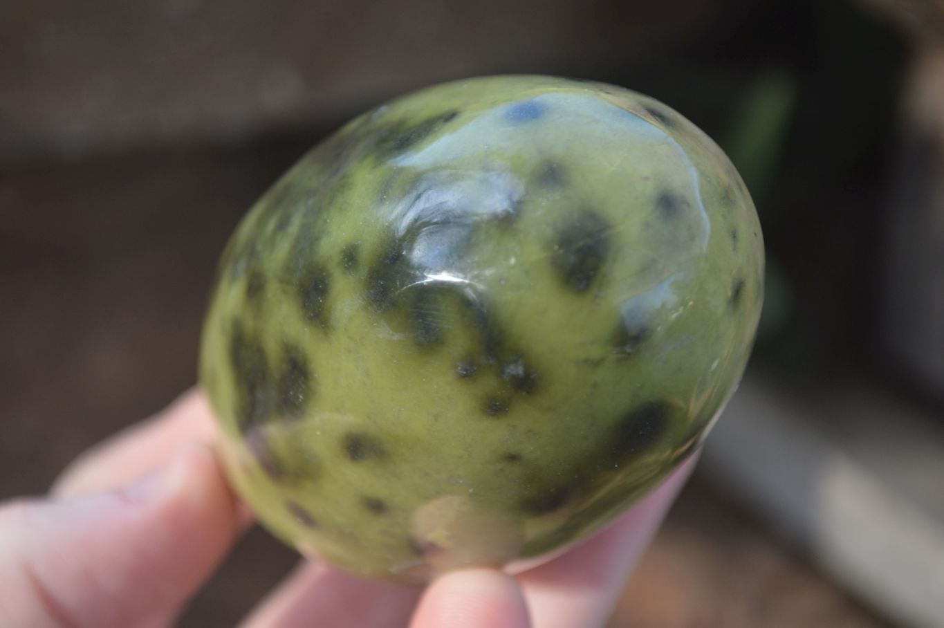 Polished Spotted Leopard Stone Standing Free Forms  x 6 From Zimbabwe - Toprock Gemstones and Minerals 