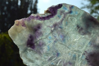 Polished Semi Translucent Watermelon Fluorite Slices x 3 From Uis, Namibia - TopRock