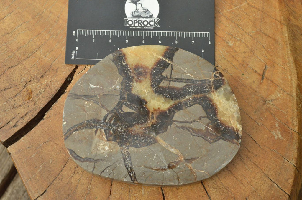 Polished Septerye (Calcite & Aragonite) Slices x 6 From Mahajanga, Madagascar - TopRock