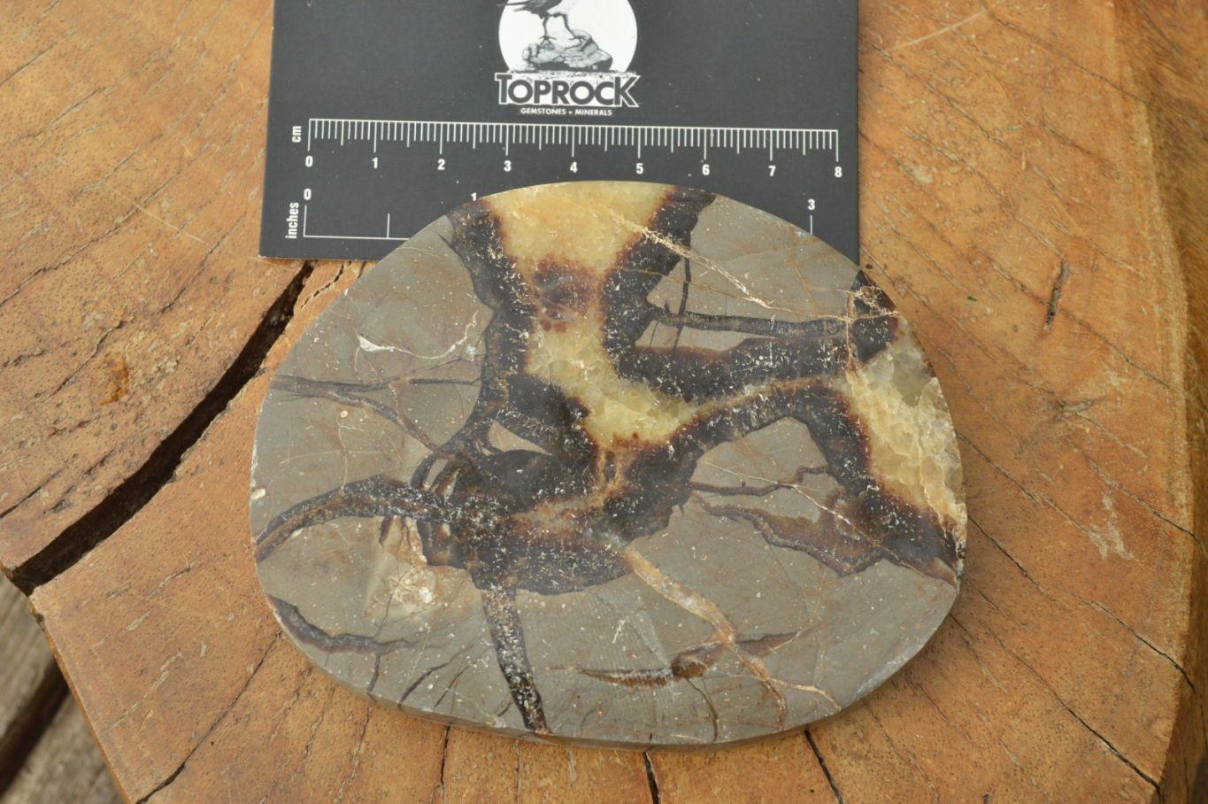 Polished Septerye (Calcite & Aragonite) Slices x 6 From Mahajanga, Madagascar - TopRock