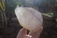 Polished Smokey Rutilated Window Amethyst Point x 1 From Madagascar - Toprock Gemstones and Minerals 