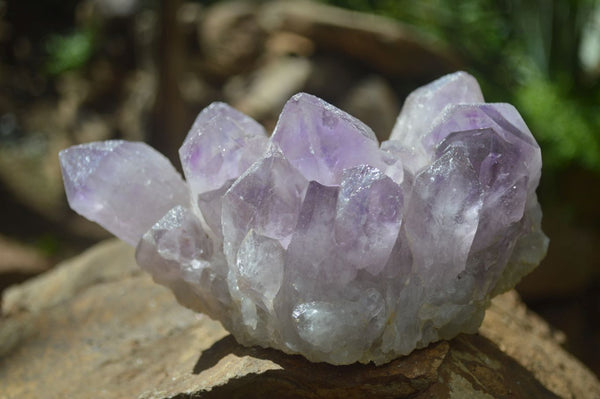 Natural Jacaranda Amethyst Clusters x 2 From Mumbwa, Zambia - TopRock