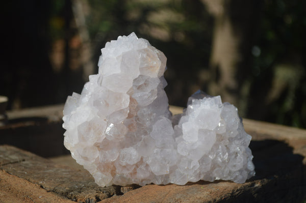 Natural White Spirit Cactus Quartz Clusters  x 2 From Boekenhouthoek, South Africa - Toprock Gemstones and Minerals 
