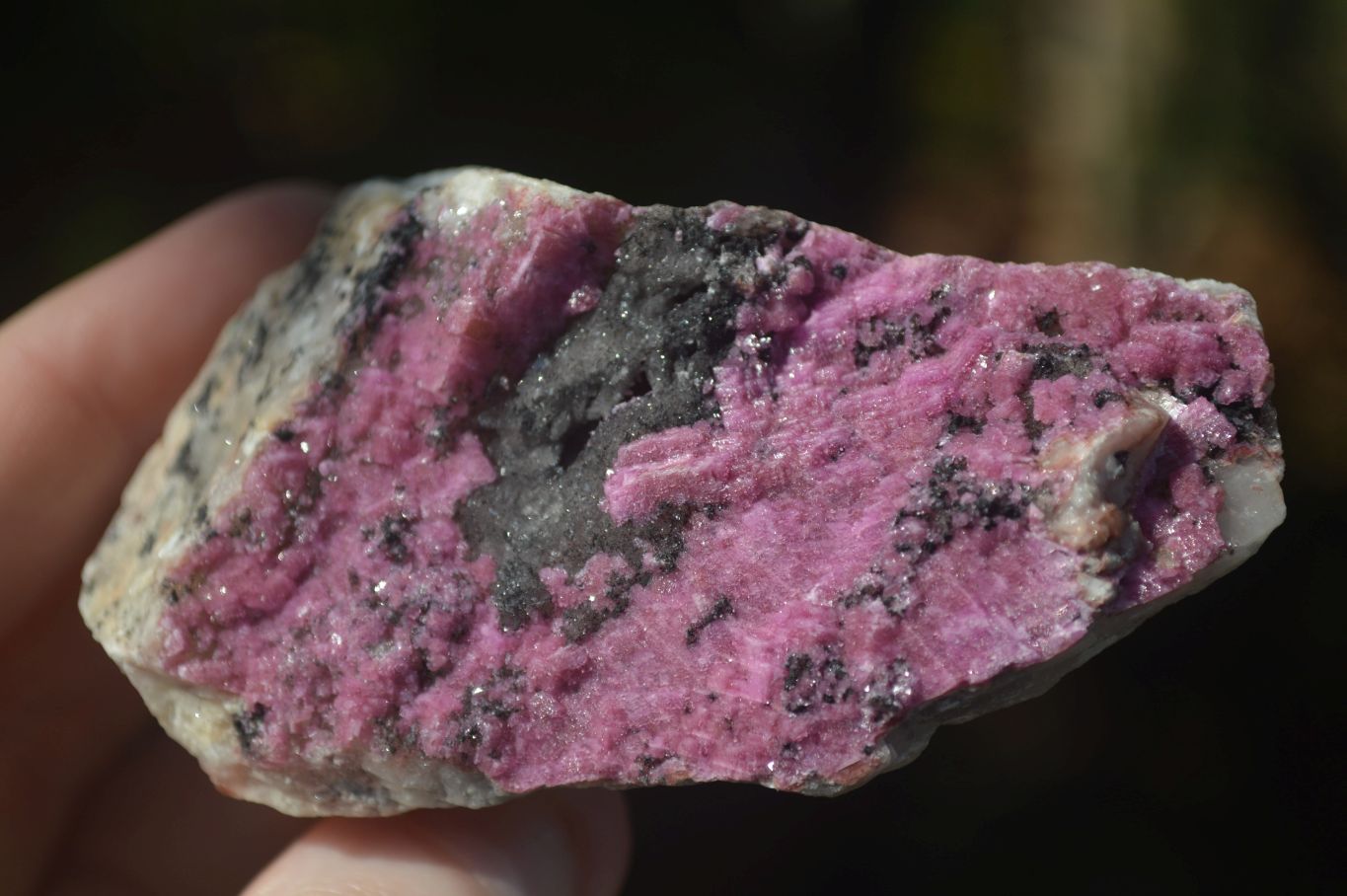 Natural Pink Salrose Cobaltion Dolomite Specimens  x 6 From Congo - Toprock Gemstones and Minerals 