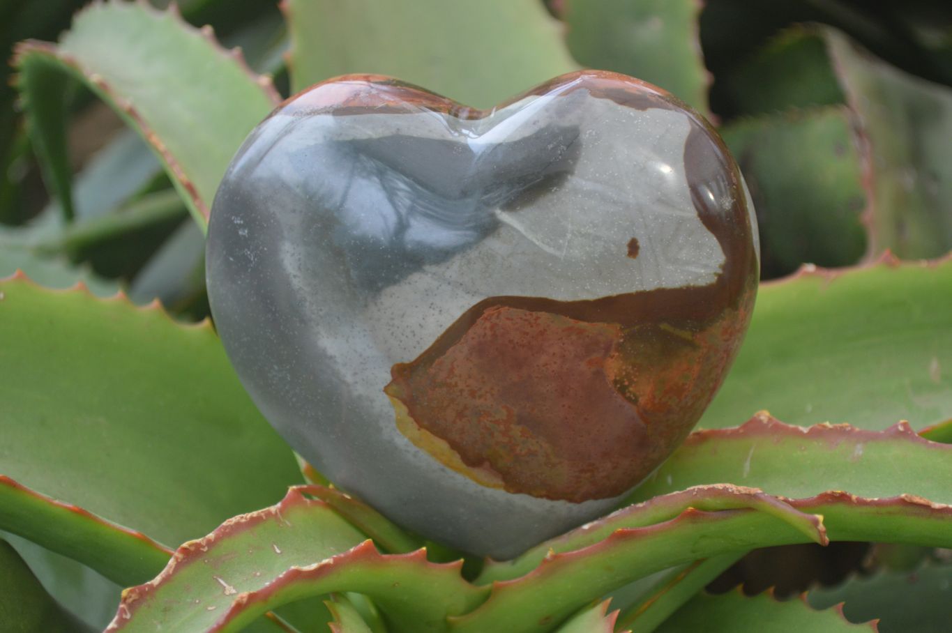Polished Polychrome Jasper Hearts  x 2 From Madagascar - Toprock Gemstones and Minerals 