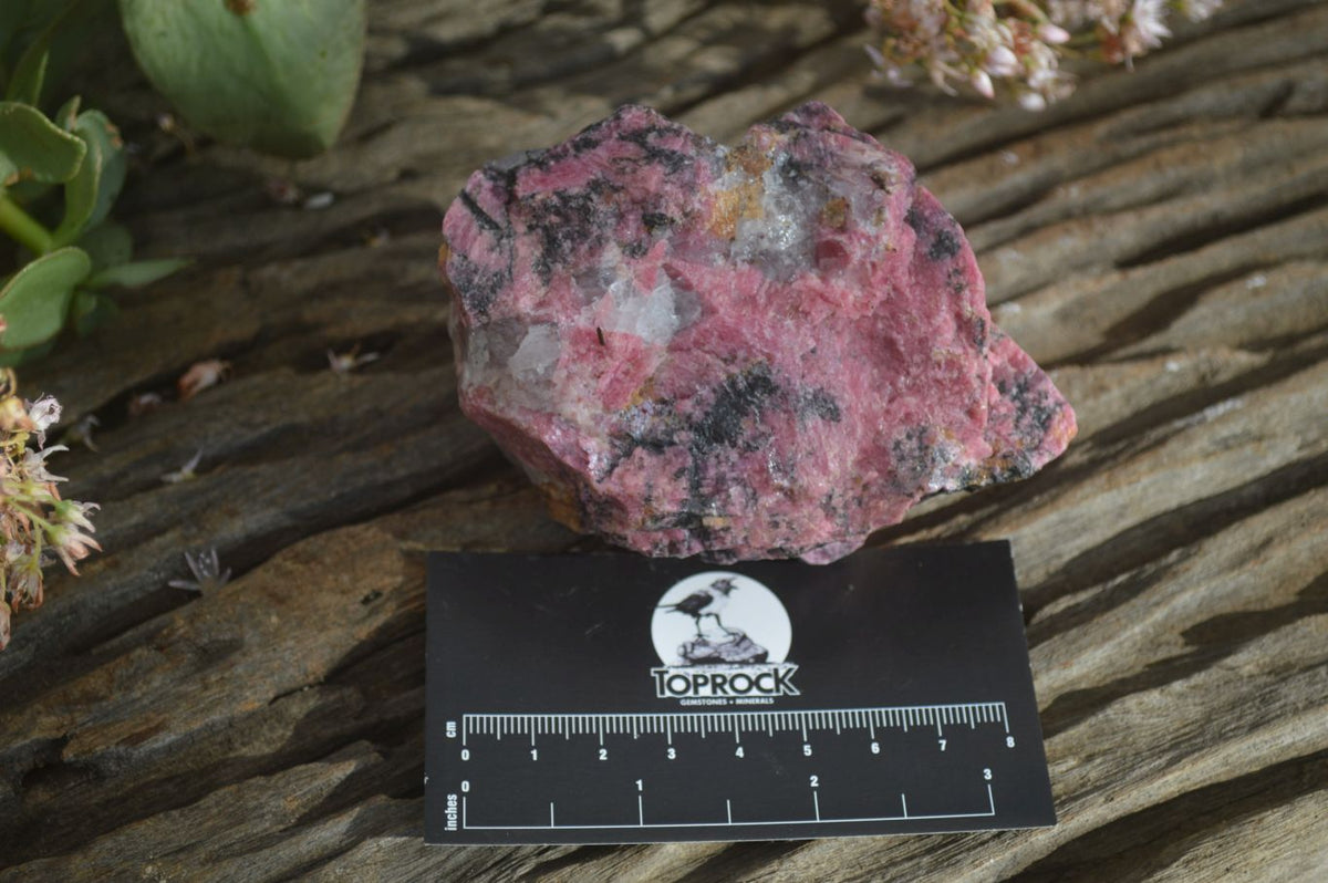 Natural Rough Red Rhodonite Specimens x 6 From Karoi, Zimbabwe - Toprock Gemstones and Minerals 