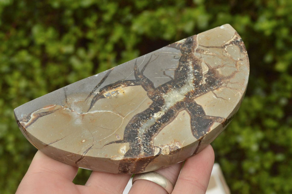 Polished Septerye (Calcite & Aragonite) Slices x 6 From Mahajanga, Madagascar - TopRock