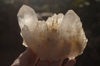 Natural Multi Terminated Quartz Clusters  x 4 From Madagascar - Toprock Gemstones and Minerals 