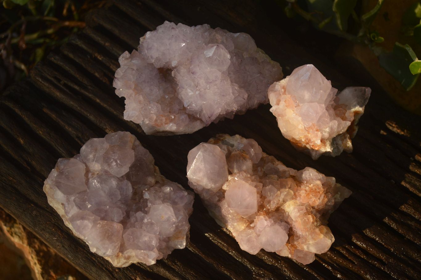 Natural Spirit Amethyst Quartz Clusters x 4 From Boekenhouthoek, South Africa - Toprock Gemstones and Minerals 