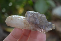Natural Smokey Skeletal Amethyst Crystals  x 12 From Chiredzi, Zimbabwe - Toprock Gemstones and Minerals 