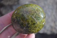 Polished Green Opal Galet / Palm Stones x 12 From Antsirabe, Madagascar - Toprock Gemstones and Minerals 