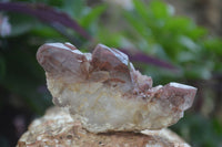 Natural Red Hematoid Quartz Specimens x 12 From Karoi, Zimbabwe - Toprock Gemstones and Minerals 