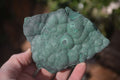 Natural Crystalline Botryoidal Malachite Specimens  x 5 From Kambove, Congo - Toprock Gemstones and Minerals 
