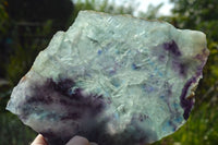 Polished Semi Translucent Watermelon Fluorite Slices x 3 From Uis, Namibia - TopRock
