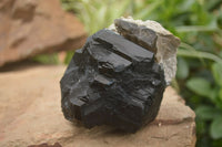 Natural Schorl Black Tourmaline Specimens x 2 From Erongo Mountains, Namibia - TopRock