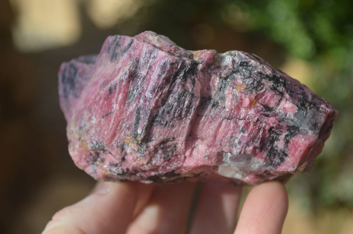 Natural Rough Red Rhodonite Specimens x 6 From Karoi, Zimbabwe - Toprock Gemstones and Minerals 