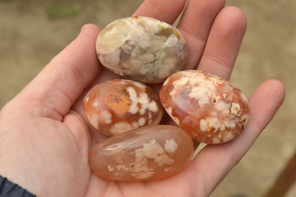 Polished Coral Flower Agate Palm Stones x 35 From Madagascar - TopRock