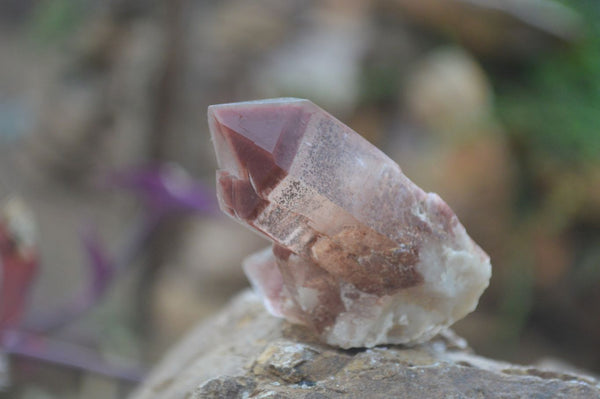 Natural Red Hematoid Quartz Specimens x 12 From Karoi, Zimbabwe - Toprock Gemstones and Minerals 