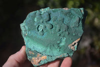 Natural Crystalline Botryoidal Malachite Specimens  x 5 From Kambove, Congo - Toprock Gemstones and Minerals 