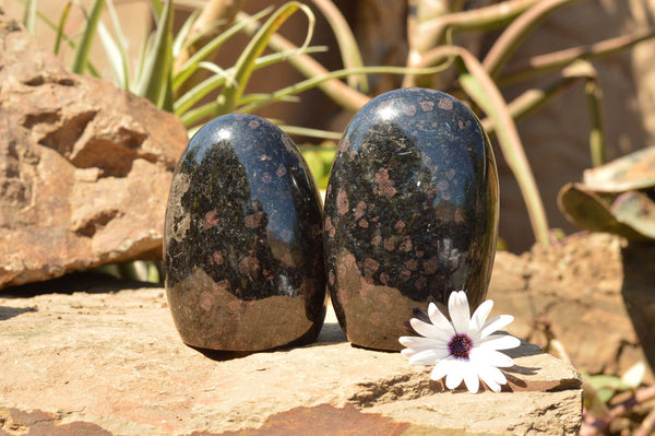 Polished Groovy New Spotted Iolite / Water Sapphire Standing Free Forms  x 2 From Madagascar - TopRock