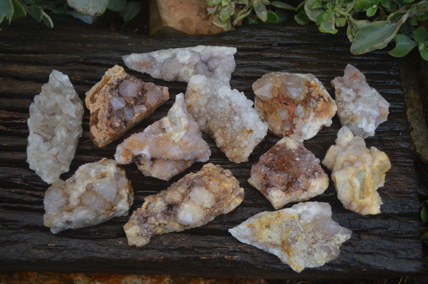 Natural Mixed Spirit Quartz Clusters  x 12 From Boekenhouthoek, South Africa - Toprock Gemstones and Minerals 