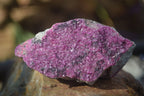 Natural Pink Salrose Cobaltion Dolomite Specimens  x 6 From Congo - Toprock Gemstones and Minerals 