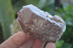Natural Red Hematoid Quartz Specimens x 12 From Karoi, Zimbabwe - Toprock Gemstones and Minerals 