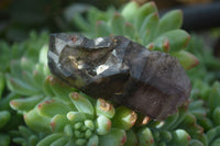 Natural Smokey Skeletal Amethyst Crystals  x 12 From Chiredzi, Zimbabwe - Toprock Gemstones and Minerals 