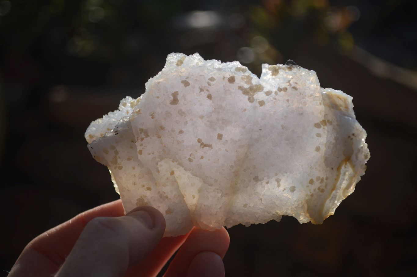 Natural Etched Blue Chalcedony Specimens  x 6 From Nsanje, Malawi - Toprock Gemstones and Minerals 
