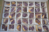 Natural Small Amethyst Plate Specimens  x 53 From Kwaggafontein, South Africa - TopRock
