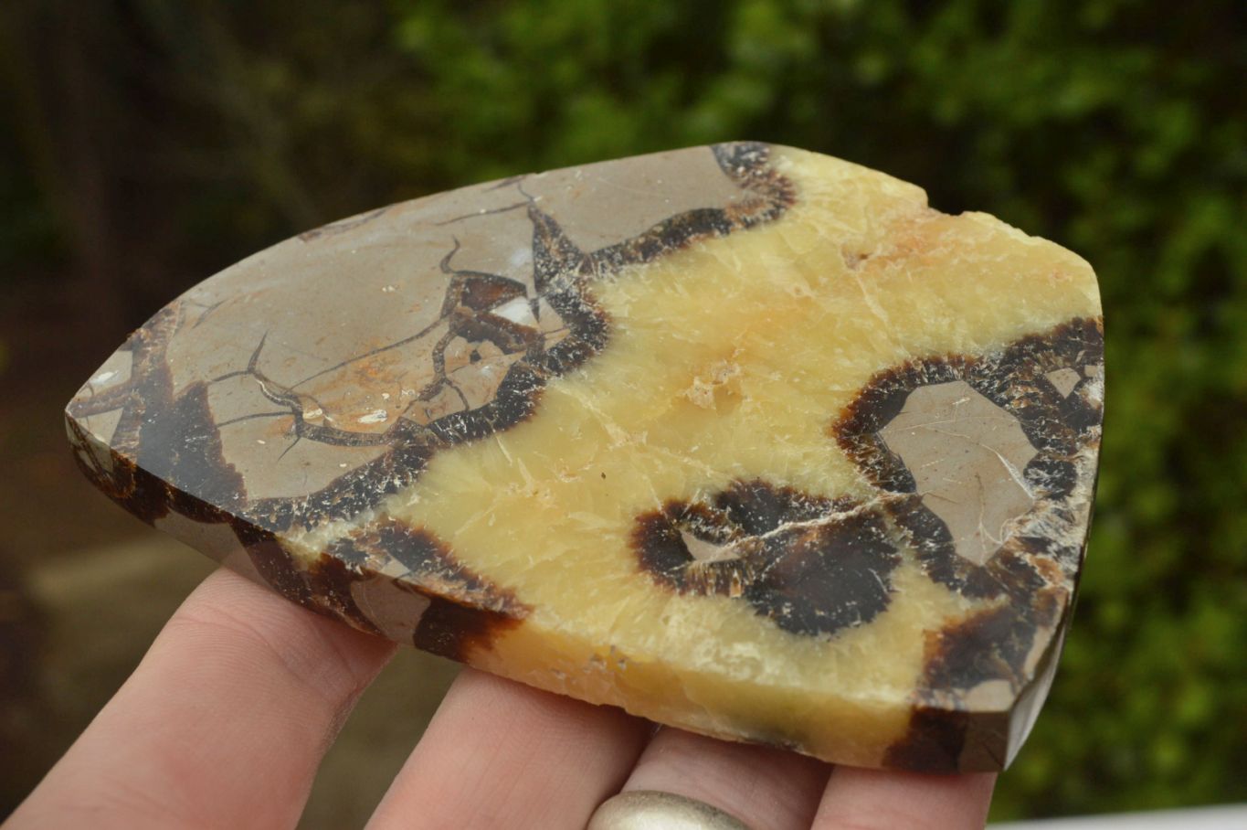 Polished Septerye (Calcite & Aragonite) Slices x 6 From Mahajanga, Madagascar - TopRock