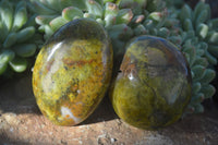 Polished Green Opal Galet / Palm Stones x 12 From Antsirabe, Madagascar - Toprock Gemstones and Minerals 