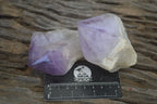 Polished Large Jacaranda Amethyst Crystals x 6 From Zambia - Toprock Gemstones and Minerals 